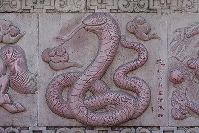 传闻称《艾尔登法环：终极版》将登陆Switch 2 维塔士移植